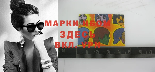 крисы Абаза