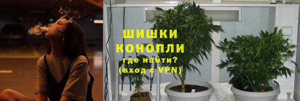 крисы Абаза