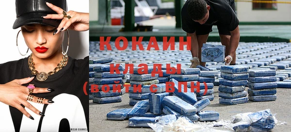 крисы Абаза