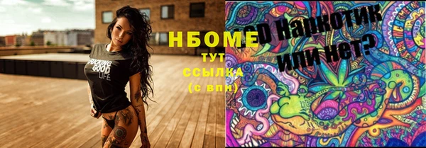 крисы Абаза