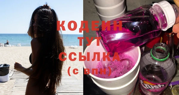 крисы Абаза