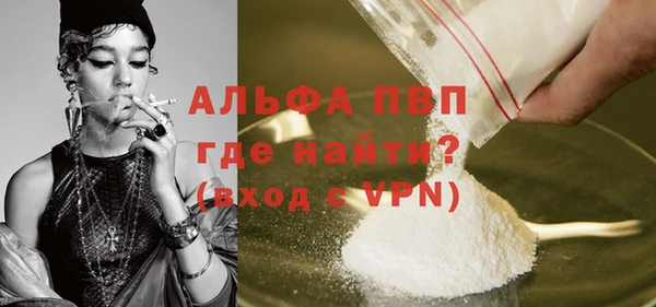 крисы Абаза