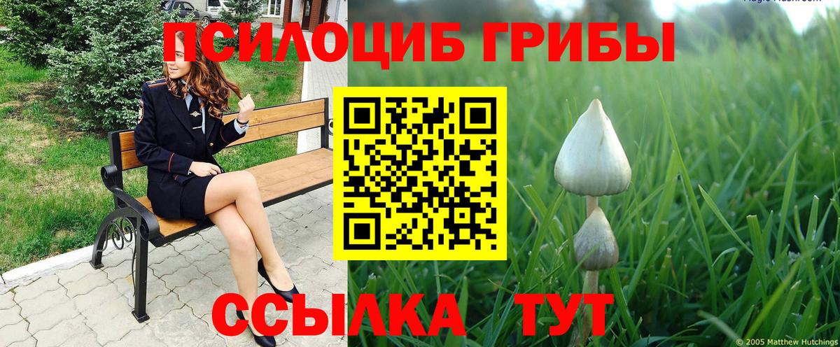 Псилоцибиновые грибы Psilocybine cubensis  цены наркотик  Ростов-на-Дону  Вход с VPN 