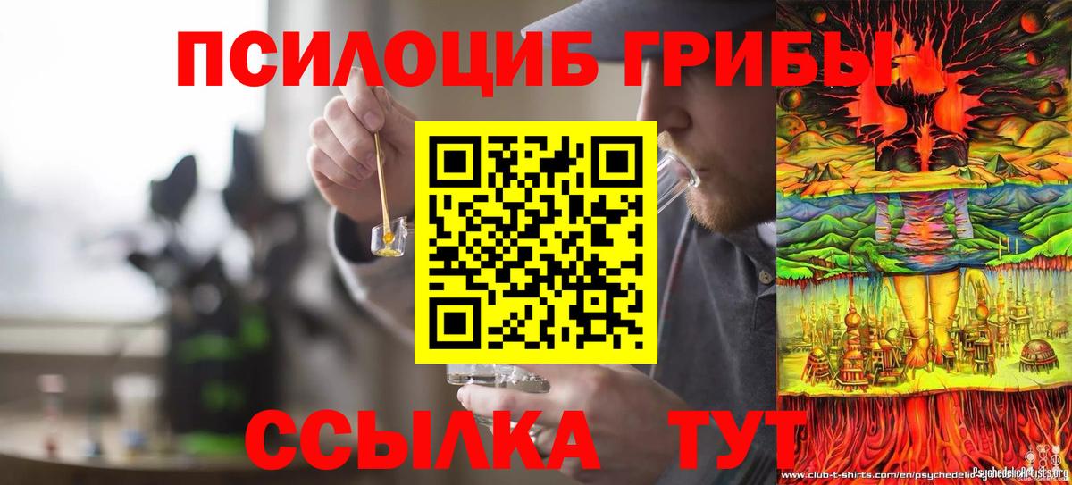 Галлюциногенные грибы прущие грибы Ростов-на-Дону